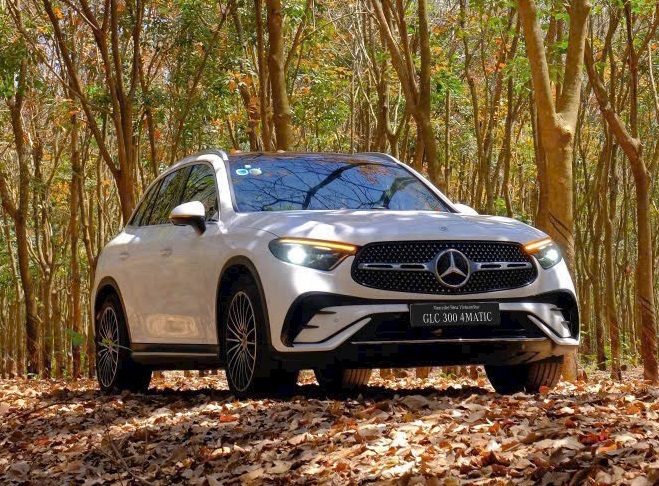 glc 300 trang 3